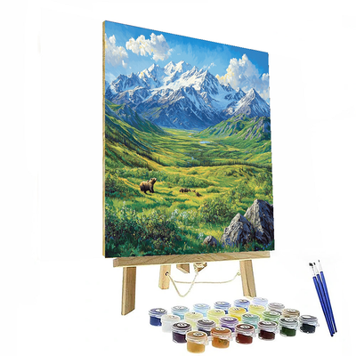 Alaska's Denali National Park Paint By Numbers Kits