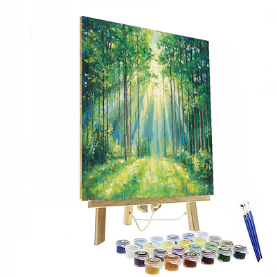 Claude Monet Inspired Sunlit Forest Retreat  Paint By Numbers Kits