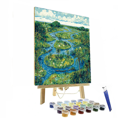 Everglades National Park - Florida Paint By Numbers Kits