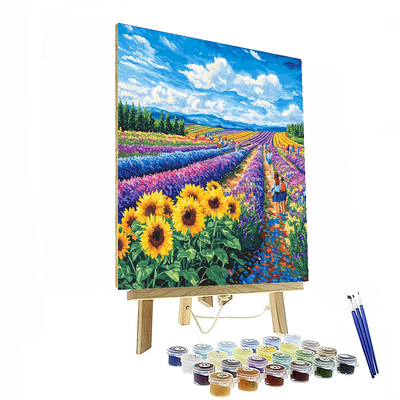 Hokkaido Flower Fields Paint By Numbers Kits