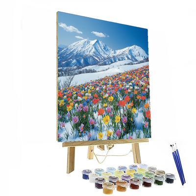 Hokkaido Paint By Numbers Kits