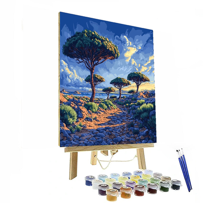 Socotra Island - Yemen Numbered Painting Kits