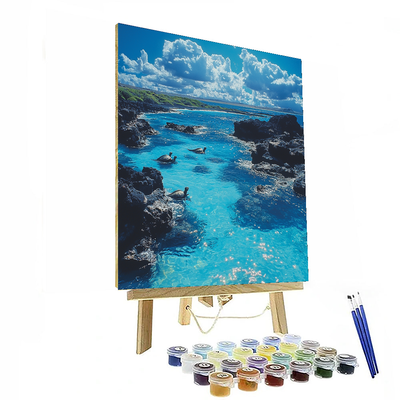 The Galapagos Islands Numbered Painting Kits