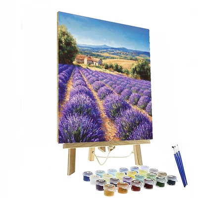 Lavender Fields Of Provence - France Numbered Painting Kits