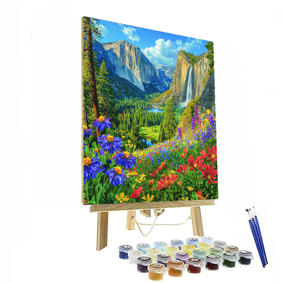 Yosemite Valley Paint By Numbers Kits