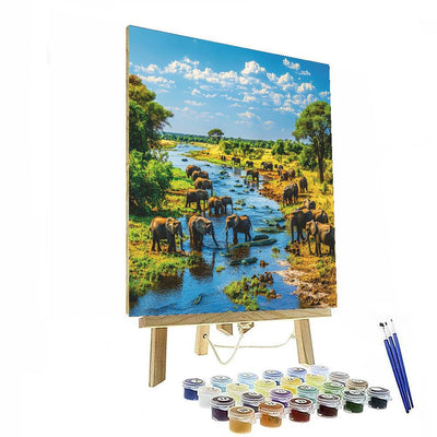 Chobe National Park - Botswana Numbered Painting Kits