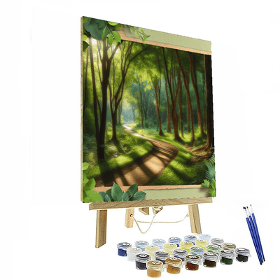 Lush Green Forest Trail Painting By Numbers Kit