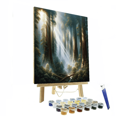 Majestic Redwood Giants Painting Number Kit