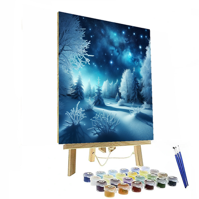 Winter Night Solitude Painting By Numbers Kit