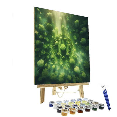 Aerial Woodland Dream Numbered Painting Kits