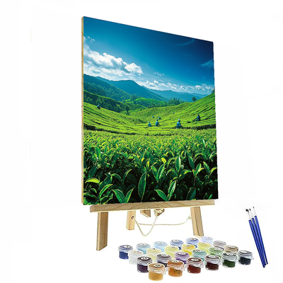 Munnar Tea Plantations Numbered Painting Kits