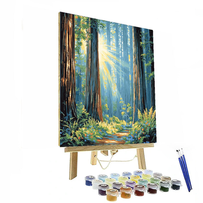 Redwood National Park - California Numbered Painting Kits