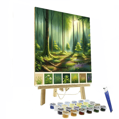 Tranquil Forest DIY Paint By Numbers