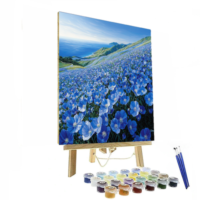 Hitachi Seaside Park - Japan Numbered Painting Kits