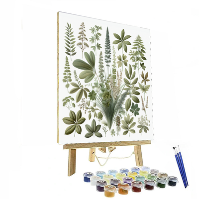 Botanical Study Wall Accent Paint By Number