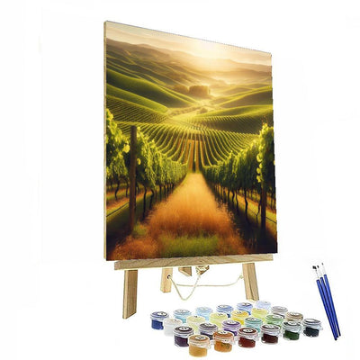 Sunny Vineyard Vista Paint By Numbers Art