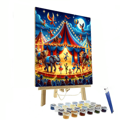 Magical Night Circus Paint By Numbers