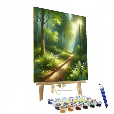 Sunlit Forest Path Paint By Color