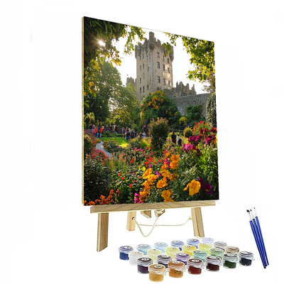 The Blarney Stone Numbered Painting Kits