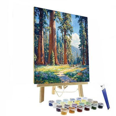 Sequoia National Park Paint By Numbers Kits