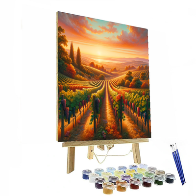 Sunset Over Vineyard Painting By Numbers Kit