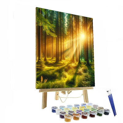 Rays Of Sunshine Through Trees Number Painting