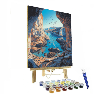 Ballestas Islands - Paracas Numbered Painting Kits