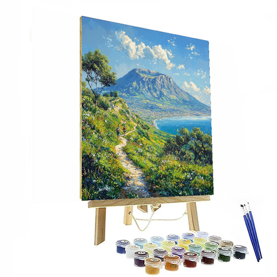 Vesuvio National Park Paint By Numbers Kits