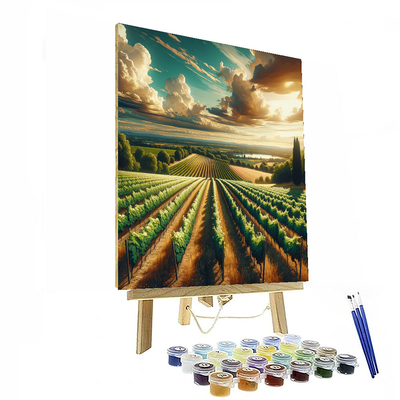 Sunkissed Vineyard Rows DIY Paint By Numbers