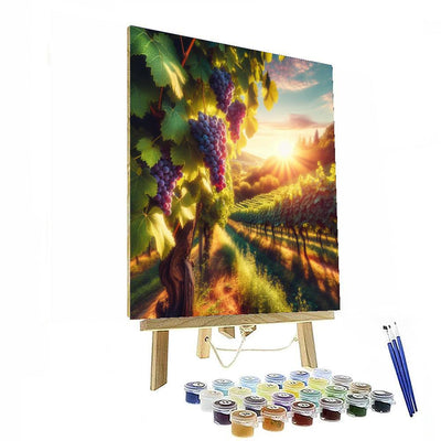 Sunny Vineyard In Harvest Numbered Painting Kits