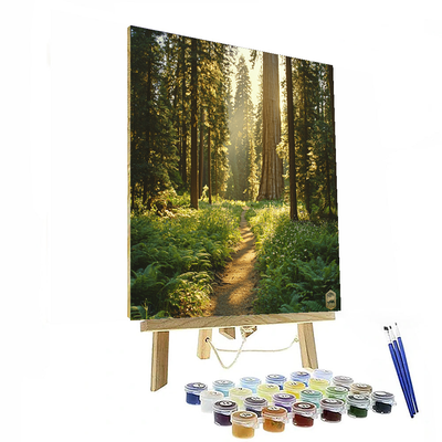 Sequoia National Park - California, Usa Numbered Painting Kits