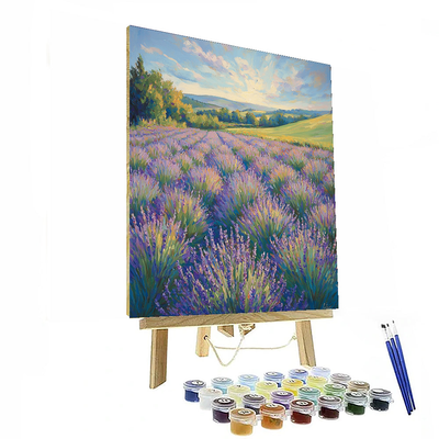 Claude Monet Inspired Fields Of Lavender  Painting By Numbers Kit