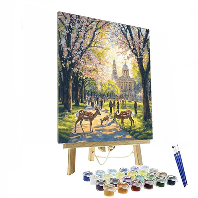 Nara Park Paint By Numbers