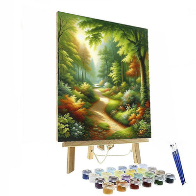 Tranquil Forest Path Paint By Number