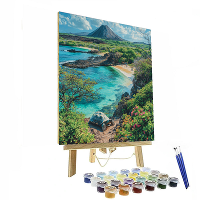 Galapagos Islands Paint By Color