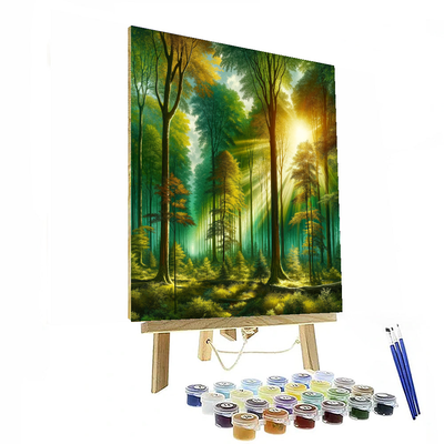 Sunlit Forest Adventure Number Painting