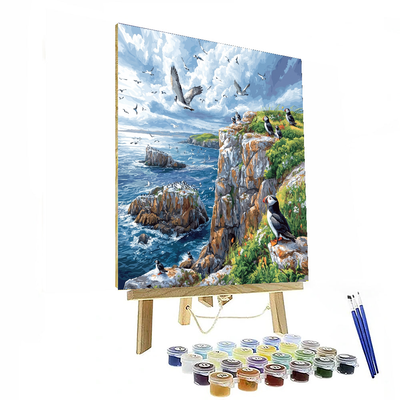 Puffin Island - Wales Numbered Painting Kits