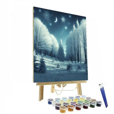 Winter Night's Tranquility Paint By Number