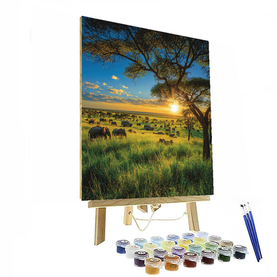 Tsavo National Park Paint By Numbers