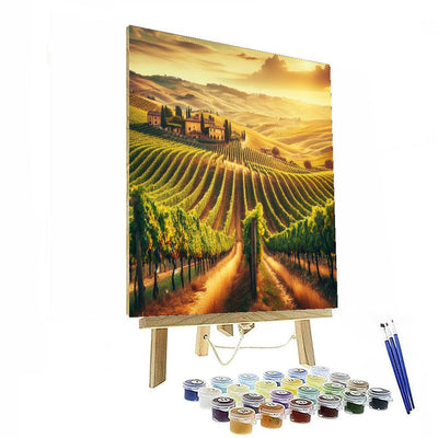 Tuscany Vineyards View Paint By Color