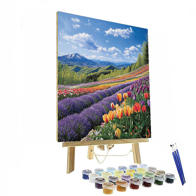 Hokkaido's Flower Fields Paint By Numbers Kits