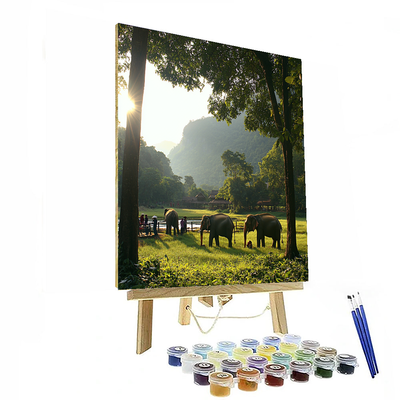 Elephant Sanctuary In Chiang Mai - Thailand Numbered Painting Kits