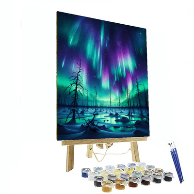 Northern Lights Reverie Paint By Numbers Kits