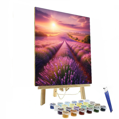 Sunlit Lavender Fields Number Painting