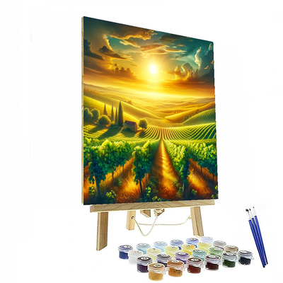 Sunny Vineyards Paint By Numbers Kits