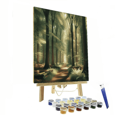 Tranquil Forest Pathway Painting By Numbers Kit