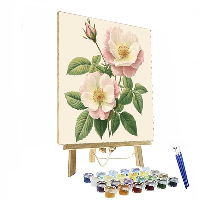 Pierre-Joseph Redouté Inspired Vintage Botanical Study  Paint By Color