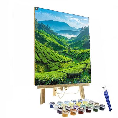 Munnar Paint By Color