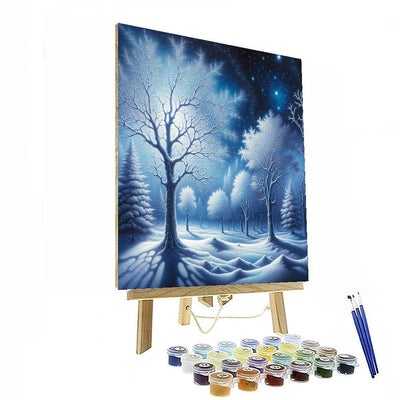 Winter's Night Splendor Paint By Numbers Kits