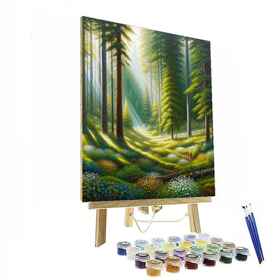 Sunlit Forest Clearing Paint By Numbers Kits